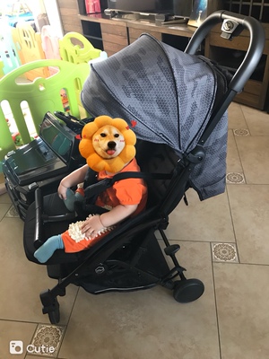 如何评价HBR虎贝尔婴儿推车怎么样，好不好用？虎贝尔有实体店吗？