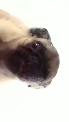 价格比较实惠，质量还行