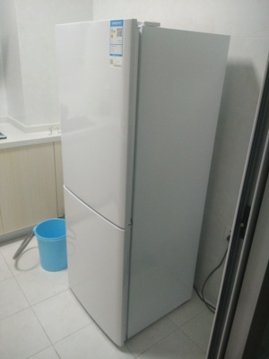Haier/海尔 BCD-196TMPI 196升两门家用静音节能电冰箱 冷藏冷冻
