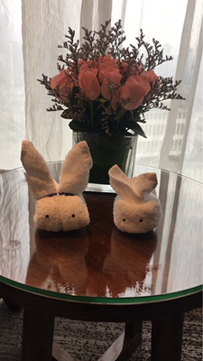 啦啦啦啦啦啦啦啦啦啦 啦啦啦啦啦啦啦啦啦啦