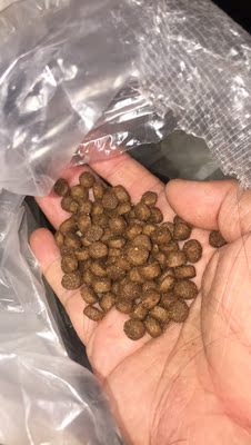 【揭秘】给狗狗用冠能狗粮怎么样，到底好不好？真的是天然粮吗？