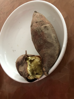 真实使用感受DAOGRSG5蒸烤箱怎么样，质量很差是真的吗