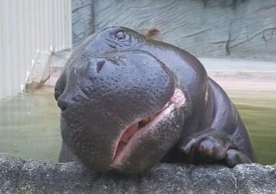 这批的质量不满意了,虽然软舒服,但感觉洗几次就要洗坏的样子。这批的质量不满意了,虽然软舒服,但感觉洗几次就要洗坏的样子。这批的质量不满意了,虽然软舒服,但感觉洗几次就要洗坏的样子。这批的质量不满意了,虽然软舒服,但感觉洗几次就要洗坏的样子这批的质量不满意了,虽然软舒服,但感觉洗几次就要洗坏的样子。 这批的质量不满意了,虽然软舒服,但感觉洗几次就要洗坏的样子。这批的质量不满意了,虽然软舒服,但感觉洗几次就要洗坏的样子。这批的质量不满意了,虽然软舒服,但感觉洗几次就要洗坏的样子。这批的质量不满意了,虽然软舒服,但感觉洗几次就要洗坏的样子这批的质量不满意了,虽然软舒服,但感觉洗几次就要洗坏的样子。