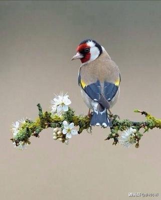 【揭秘】蒂卡尔摄像头怎么样，质量烂不烂呢,用后反馈