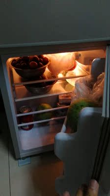 FRESTECH/新飞 BCD-58A118双门小型冰箱冷藏冷冻家用宿舍二人世界