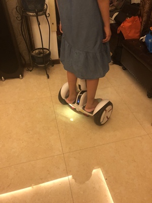 点评领奥平衡车怎么样，真相如何,不看后悔