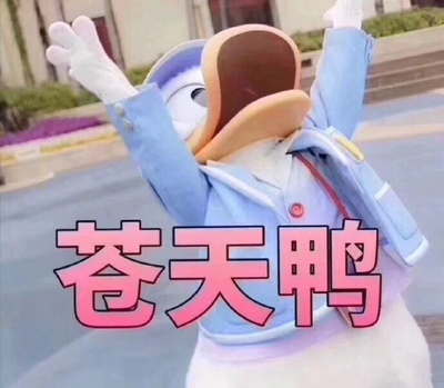 质量很错的哟, 质量很错的哟,