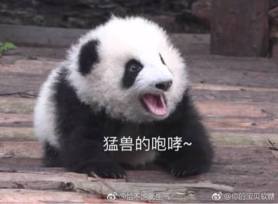 和此卖家交流，自觉七经八脉为之一畅，我在淘宝买了这么多年，所谓看过"女干"商无数，但与卖家您交流，我只想说，老板你实在是太好了。 你的高尚情操太让人感动了。本人对此卖家之仰慕如滔滔江水连绵不绝，海枯石烂，天崩地裂，永不变心。交易成功后，我的心情竟是久久不能平静。自古英雄出少年，卖家年纪轻轻，就有经天纬地之才，定国安邦之智，而今，天佑我大中华，沧海桑田5000年，神州平地一声雷，飞沙走石，大雾迷天，朦胧中，只见顶天立地一金甲天神立于天地间，花见花开，人见人爱，这人英雄手持双斧，二目如电，一斧下去，混沌初开，二斧下去，女娲造人，三斧下去，小生倾倒。得此大英雄，实乃国之幸也，民之福，人之初也，怎不叫人喜极而泣 .......看着交易成功，我竟产生出一种无以名之的悲痛感&mdash;&mdash;啊，这么好的卖家，如果将来我再也遇不到了，那我该怎么办？直到我毫不犹豫地把卖家的店收藏了，我内心的那种激动才逐渐平静下来。可是我立刻想到，这么好的卖家，倘若别人看不到，那么不是浪费心血吗？经过痛苦的思想斗争，我终于下定决心，牺牲小我，奉献大我。我要以此评价奉献给世人赏阅，我要给好评&hellip;&hellip;