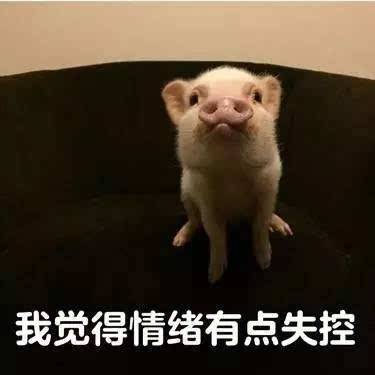 东西挺好的，以下为凑字数。 我们总是容易用一种自虐的方式制造出一种痴情的假象来使自己站在感情的道德制高点上，获得一种畸形的满足感和安全感。 大半夜默默站在对方楼下守望； 为了等一通电话彻夜未眠； 或是无数次冒着大雨给TA送一杯奶茶； 迫不及待地将满腔爱意表达出来， 但是对于对方来说，一杯奶茶就是一杯奶茶，一通忘了打的电话也只是一句抱歉而已。 爱得太用力，表现得太迫不及待，反而脱离了生活，进入了表演。 其实有的时候，我们感动的只是自己而已。