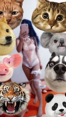 在脖子上，喜欢