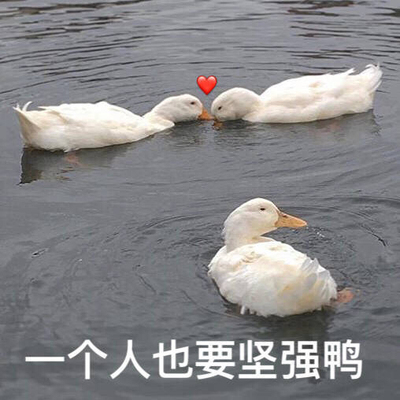 第二次买了 对平胸超级友好 超级舒服！！喜欢！！！