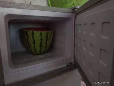 FRESTECH/新飞 BCD-58A118双门小型冰箱冷藏冷冻家用宿舍二人世界