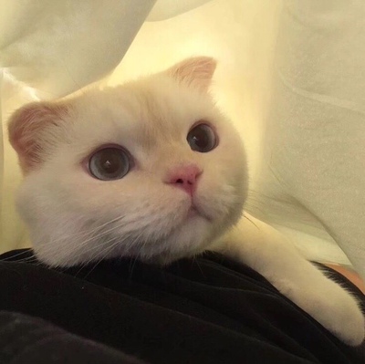 衣服很舒服，洗了印花也不掉，也很时尚