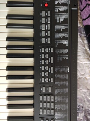 说说深港(乐器)电子琴质量怎么样,透过五个月使用看真相