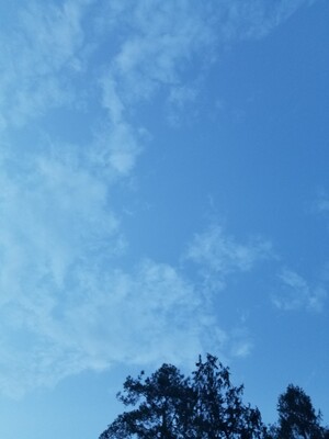 这是一个好评模版，因为本仙女很懒，不想每个产品都写好评，特地模仿网友以下这个模版，但是这个产品无论质量和外形，都是本仙女喜欢的，如果不喜欢，收到东西会很生气然后这个模版就会成为本仙女喋喋不休的抱怨书，自然不可能撒下这个好评给各位淘友参考，本宝贝还是极好的，来自一个慵懒只爱购物，不爱写评论却只想换积分的仙女!