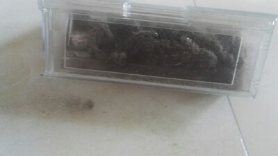Re:大家入手感受科沃斯扫地机器人dn33和dn55区别是??对比说说科沃斯dn33和dn55哪 ..