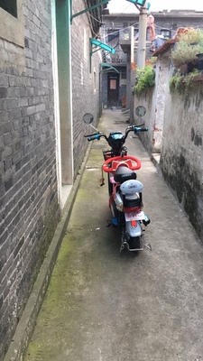 激战新款电动车成人电动自行车48V小型电瓶车男女代步电车电动车