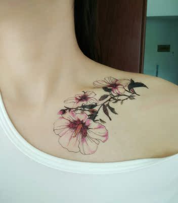 一套，自己也单独拍了几款，买来贴锁骨的，有疤痕的地方贴了也完全可以盖住😁😁