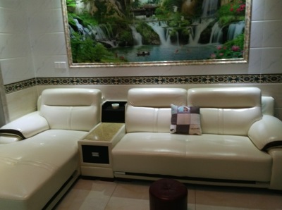 体验Dreasylife真皮沙发怎么样,买了真的没后悔的吗