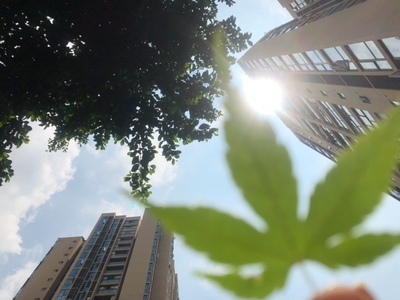 我是我们村第一个在淘宝上买东西的人。他们买东西价格一般不超过五块，听说我双十一买了一大堆东西，全村都震惊了，村长跑到我家对我爸说我疯了！媳妇跟我闹离婚，说这日子没法过了！面对重重压力，我坚持买、买、买！终于快递不断的到了，我怀揣着激动的心情，颤抖的打开一个个包裹，那一霎那，感觉我的眼都要亮瞎了，啊...这颜值、这手感、这质量！只怪我读书少，无法用华丽的语言来形容它。我骄傲的站在村口，霎时，村民们都惊呆了，瞬间时间凝固了，大家眼睛一动不动盯着一个个包裹，如同夜晚的狼的绿眼睛，泛发着可怕的凶光！15秒后，整个村都沸腾了，说太好了，太漂亮了，说太值了，更有人拼命的喊叫，不给他们看，他们就跳井。吓得我赶紧收起宝贝，落荒而逃。为测试宝贝效果，我立刻去我们村高达100米山上村长家试用，村民们一窝蜂追了过去，里三层外三层围了个水泄不通。一看这阵仗，我突发灵感，赶紧拿起一把淘宝仿真机关枪，哒哒哒哒，一阵猛扫，村民们像山里的猴子四处逃窜，漫山遍野躲了起来，这，就是淘宝的力量！这，就是双十一的魅力！这，就是马云的太极&ldquo;攻守道&rdquo;！哇塞！在全村人羡慕的目光中，我仰首挺胸，扬长而去。