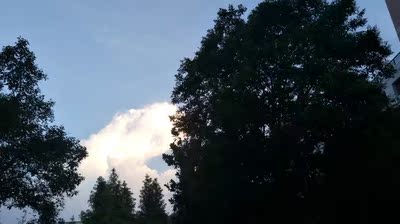 LV.6 2017-08-15 终于收到我需要的宝贝了,东西很好,价美物廉,谢谢掌柜的!说实在,这是我淘宝购物来让我最满意的一次购物。无论是掌柜的态度还是对物品,我都非常满意的。掌柜态度很专业热情,有问必答,回复也很快,我问了不少问题,他都不觉得烦,都会认真回答我,这点我向掌柜表示由衷的敬意,这样的好掌柜可不多。再说宝贝,正是我需要的,收到的时候包装完整,打开后让我惊喜的是,宝贝比我想象中的还要好!不得不得竖起大拇指。下次需要的时候我还会再来的,到时候麻烦掌柜给个优惠哦! LV.6 2017-08-15 终于收到我需要的宝贝了,东西很好,价美物廉,谢谢掌柜的!说实在,这是我淘宝购物来让我最满意的一次购物。无论是掌柜的态度还是对物品,我都非常满意的。掌柜态度很专业热情,有问必答,回复也很快,我问了不少问题,他都不觉得烦,都会认真回答我,这点我向掌柜表示由衷的敬意,这样的好掌柜可不多。再说宝贝,正是我需要的,收到的时候包装完整,打开后让我惊喜的是,宝贝比我想象中的还要好!不得不得竖起大拇指。下次需要的时候我还会再来的,到时候麻烦掌柜给个优惠哦!