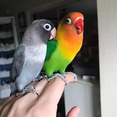 满意满意满意满意满意满意满意满意满意