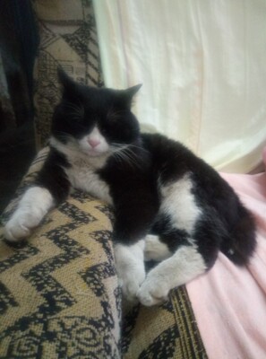 很满意！特别好。