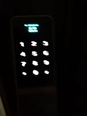 体验【真相】德国PUSAIRO普赛罗指纹锁怎么样,有什么优缺点呢