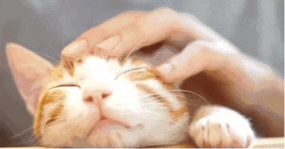 嘻嘻，店家可以说是相当可爱了！学习物品好评