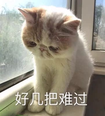 那么,在背部的锻炼中我们该去注意些什么呢?首先就是锻炼的姿势上的问题,在锻炼背部时有些健身者常常会出现锻炼姿势的错误,特别是重量过大时,对于动作的把握就会出问题。 这时,我们解决的方法就是要减轻我们的器械重量,这样你在锻炼中姿势才不会轻易的出现错误。 那么,在背部的锻炼中我们该去注意些什么呢?首先就是锻炼的姿势上的问题,在锻炼背部时有些健身者常常会出现锻炼姿势的错误,特别是重量过大时,对于动作的把握就会出问题。 这时,我们解决的方法就是要减轻我们的器械重量,这样你在锻炼中姿势才不会轻易的出现错误。