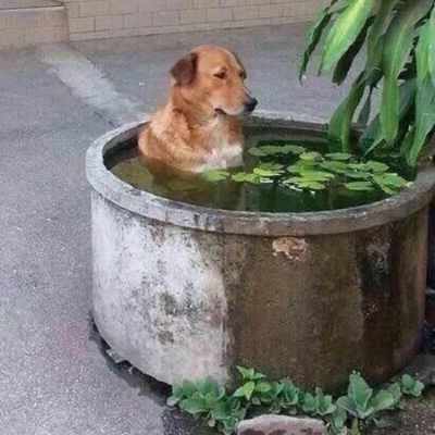 给我妈买的 她手不好只能前扣 可是这种前扣太不好方便操作了 布料是很好 全棉吸汗很很好很很好很很好很很好很很好很很好很很好很很好很很好很很好很很好很很好很很好很很好很很好很很好很很好很很好很很好很很好很很好很很好很很好很很好很很好很很好很很好很很好很很好很很好很很好很很好很很好很很好很很好很很好很很好很很好很很好很很好很很好很很好很很好很很好很很好很很好很很好很很好很很好很很好很很好很很好很很好很很好很很好很很好很很好很很好很很好很很好很很好很很好很很好很很好很很好很很好很很好很很好很很好很很好很很好很很好 给我妈买的 她手不好只能前扣 可是这种前扣太不好方便操作了 布料是很好 全棉吸汗很很好很很好很很好很很好很很好很很好很很好很很好很很好很很好很很好很很好很很好很很好很很好很很好很很好很很好很很好很很好很很好很很好很很好很很好很很好很很好很很好很很好很很好很很好很很好很很好很很好很很好很很好很很好很很好很很好很很好很很好很很好很很好很很好很很好很很好很很好很很好很很好很很好很很好很很好很很好很很好很很好很很好很很好很很好很很好很很好很很好很很好很很好很很好很很好很很好很很好很很好很很好很很好很很好很很好很很好