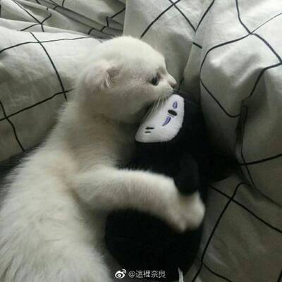 和客服小姐姐聊了很久才下单的，客服推荐的尺码很准，一开始还怕尺码不对特地买了运险费，没想到收到以后试穿发现很好看，摸起来很舒服，穿起来也不会显得胸大。颜色是淡淡的蓝色，很喜欢，会回购这家店的~