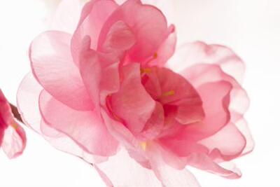 面料特别好，超薄款的果然很薄，需要戴乳贴不出汗穿合适，我这一天到晚，有事情做，又特容易出汗，穿这个很好，就是不喜欢带乳贴。。。好尴尬👀