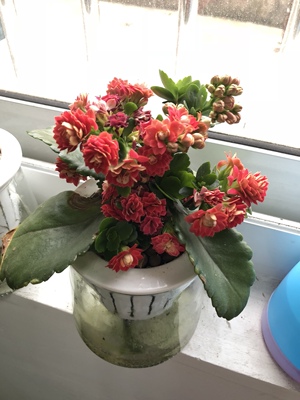 还不错 就是肩带不能卸 稍微有点厚 没有异味