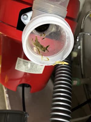 如何评价贝克巴斯垃圾处理器怎么样,曝光了是真假,通过三个月使用看真相