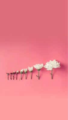 质量一如既往 夏天特别适合 特别贴肤 质量一如既往 夏天特别适合 特别贴肤