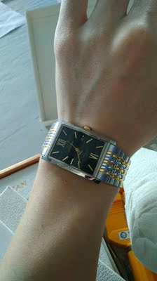 目前看来罗蒂诗蔓手表怎么样，是什么档次的？罗蒂诗蔓是名牌吗？