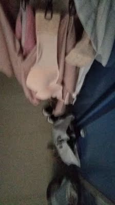 不掉 对c杯非常友好   客服小姐姐也非常nice