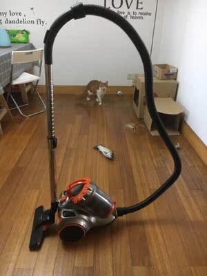 火爆的苏泊尔吸尘器怎么样，吸得干净吗，通过三个使用看真相