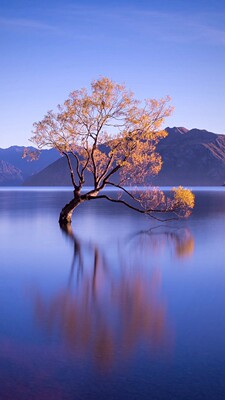 做活动时买很划算，一如既往的好。