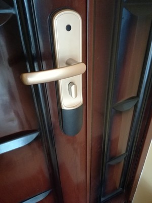 调查心得源天祥指纹锁怎么样,好用吗?源天祥指纹锁安全靠谱吗?