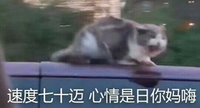 超级性感好吗！一件纯色t！！！搭上这个简直感觉就不一样了哈哈哈哈哈哈哈哈哈哈哈哈哈哈哈哈哈哈但是感觉胸大的穿起来有点...情....色....emmmmmm但是真的很好看！！！哈哈哈哈哈哈哈哈哈哈哈哈哈哈哈哈哈哈哈