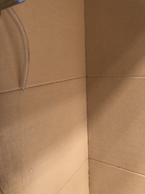 大家谈谈阿里斯顿EHT60E3.0AG热水器怎么样,质量很差是真的吗