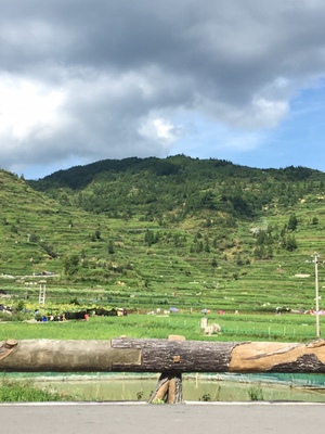 【揭秘】亿健跑步机怎么样,真相如何,看过才知