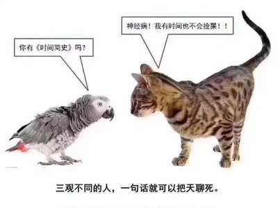 特别好,很薄,我胸大就要穿这样薄的夏天不热不闷。先买了一件。收到以后看着这不错又马上下单买了2件,夏天就够了。薄薄的很舒服,美中不足的是有钢圈。 特别好,很薄,我胸大就要穿这样薄的夏天不热不闷。先买了一件。收到以后看着这不错又马上下单买了2件,夏天就够了。薄薄的很舒服,美中不足的是有钢圈。