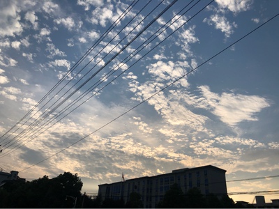 &ldquo;If there is pain, nurse it,  and if there is flame, don&rsquo;t snuff it out,  don&rsquo;t be brutal with it.  Withdrawal can be a terrible thing when it keeps us awake at night, and watching others forget us sooner than we&rsquo;d want to be forgotten is no better.  We rip out so much of ourselves to be cured of things faster than we should that we go bankruptcy by the age of thirty and have less to offer each time we start with someone new.  But to feel nothing so as not to feel anything &mdash; what a waste！&rdquo;