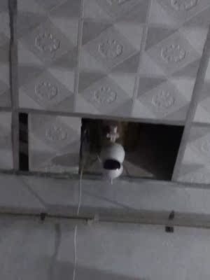 如何评价君永安摄像头怎么样，质量烂不烂呢,用后反馈