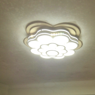 大家谈谈佳典园灯具怎么样,这个牌子的灯好不好?不要买是真的吗