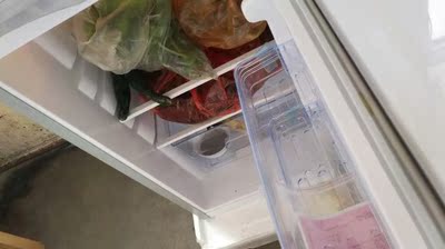 AUX/奥克斯 BCD-116AD旗舰店小冰箱小型宿舍家用双门非海尔电冰箱