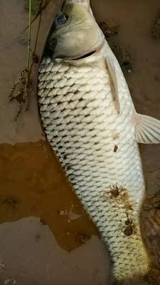 让保罗钓竿口碑行吗,质量怎么样,让保罗钓竿怎么样,让保罗质量真的很好吗?